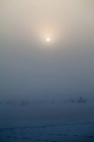 Platteland Winterlandschap Bij Zonsondergang — Stockfoto