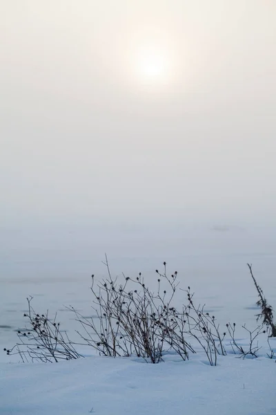 Platteland Winterlandschap Bij Zonsondergang — Stockfoto