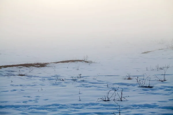 Platteland Winterlandschap Bij Zonsondergang — Stockfoto