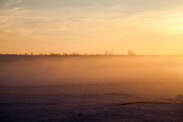 Platteland Winterlandschap Bij Zonsondergang — Stockfoto