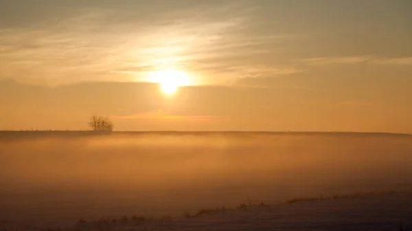 Platteland Winterlandschap Bij Zonsondergang — Stockfoto