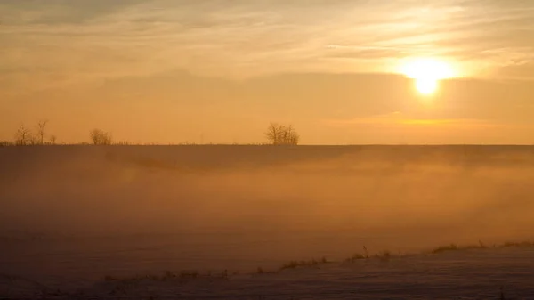 Platteland Winterlandschap Bij Zonsondergang — Stockfoto