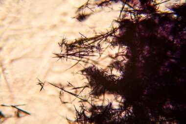 Kağıt dokusu mikroskop, kristalize Methilene mavi