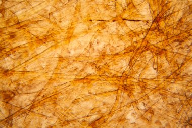 Bakire kağıt dokusu mikroskop