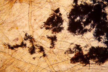 Kağıt dokusu mikroskop, kristalize Methilene mavi