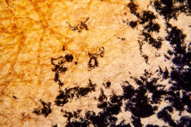 Kağıt dokusu mikroskop, kristalize Methilene mavi