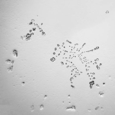 Gözyaşları mikroskop görüş. Büyütme 100-1000 x