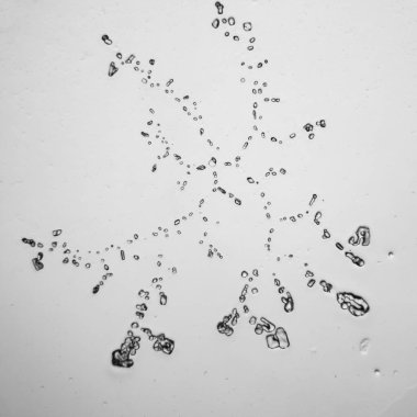 Gözyaşları mikroskop görüş. Büyütme 100-1000 x