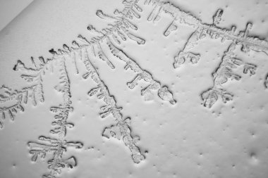 Gözyaşları mikroskop görüş. Büyütme 100-1000 x