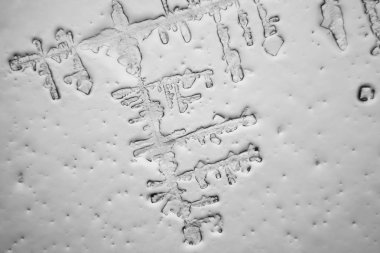 Gözyaşları mikroskop görüş. Büyütme 100-1000 x