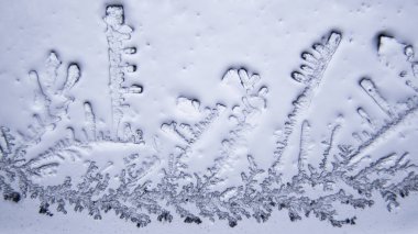 Gözyaşları mikroskop görüş. Büyütme 100-1000 x