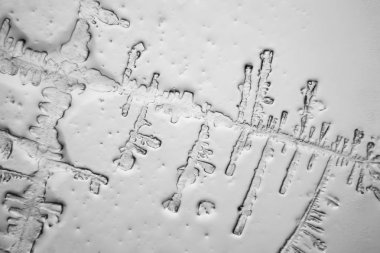 Gözyaşları mikroskop görüş. Büyütme 100-1000 x