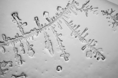 Gözyaşları mikroskop görüş. Büyütme 100-1000 x