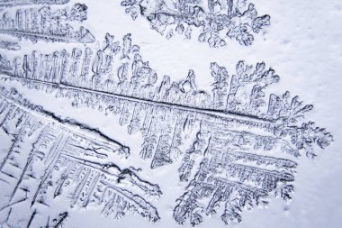 Gözyaşları mikroskop görüş. Büyütme 100-1000 x