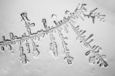 Gözyaşları mikroskop görüş. Büyütme 100-1000 x