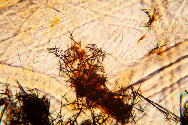 Kağıt dokusu mikroskop, kristalize Methilene mavi