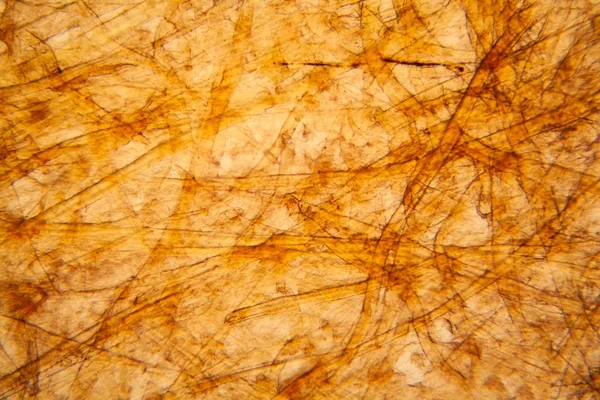 Bakire kağıt dokusu mikroskop