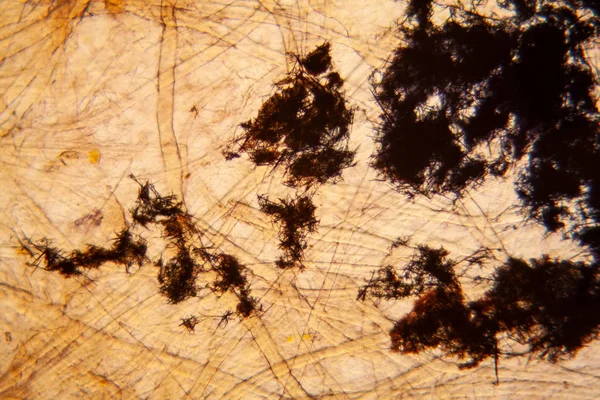 Kağıt dokusu mikroskop, kristalize Methilene mavi