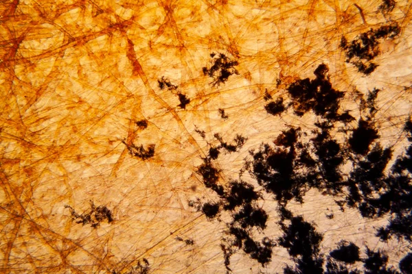 Kağıt Dokusu Mikroskop Kristalize Methilene Mavi — Stok fotoğraf