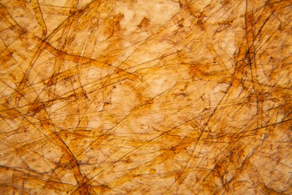 Textura Papel Virgem Microscópio — Fotografia de Stock