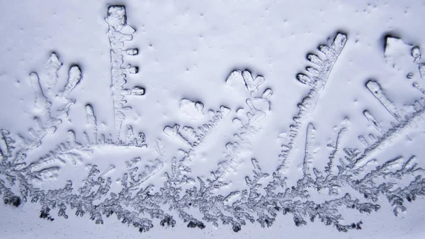 Gözyaşları mikroskop görüş. Büyütme 100-1000 x