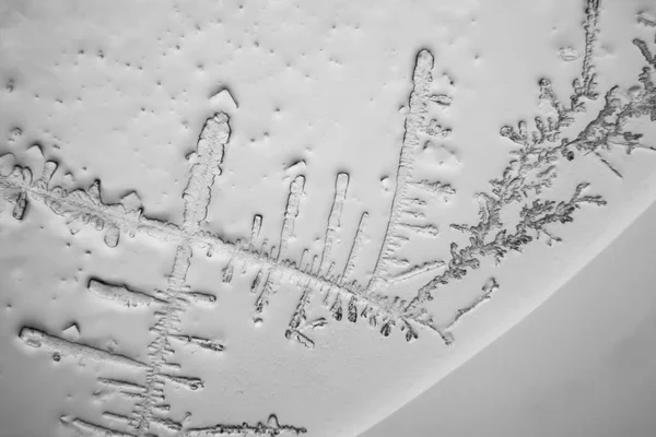 Gözyaşları mikroskop görüş. Büyütme 100-1000 x