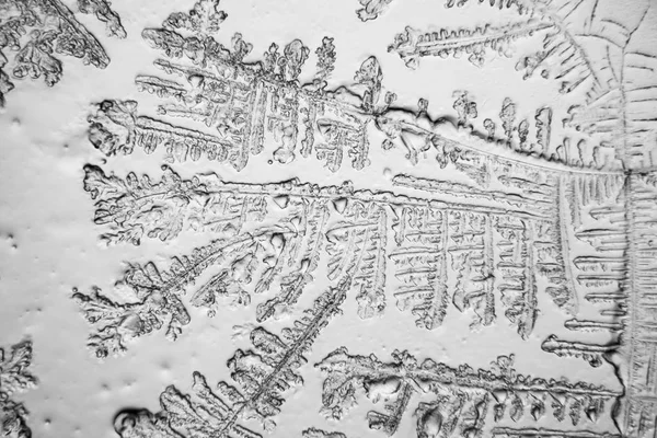 Gözyaşları mikroskop görüş. Büyütme 100-1000 x