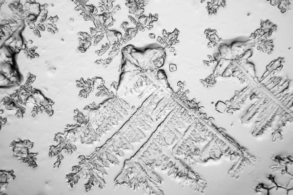 Gözyaşları mikroskop görüş. Büyütme 100-1000 x