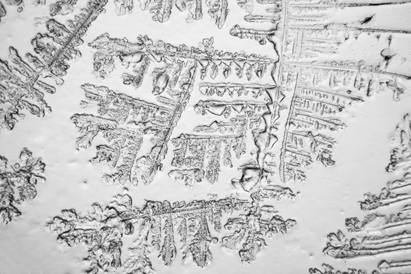 Gözyaşları mikroskop görüş. Büyütme 100-1000 x