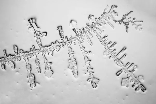 Gözyaşları mikroskop görüş. Büyütme 100-1000 x