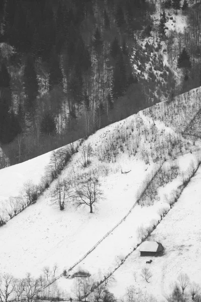 Vinterlandskap Fjellet – stockfoto