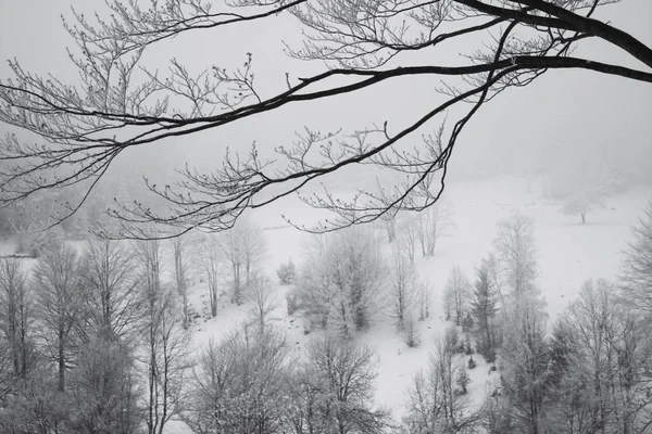 Paysage Hivernal Dans Les Montagnes — Photo