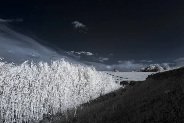 Paisaje Infrarrojo Con Sombras Detalles — Foto de Stock