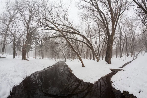 Paisagem Nevando Parque Efeitos Lente Fisheye — Fotografia de Stock