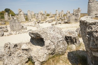 Pobiti Kamani (taş Çölü), Bulgaristan'ın Kuzey Batı Varna il sınırında bulunan bir çöl gibi kaya fenomen