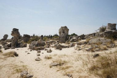 Pobiti Kamani (taş Çölü), Bulgaristan'ın Kuzey Batı Varna il sınırında bulunan bir çöl gibi kaya fenomen