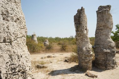 Pobiti Kamani (taş Çölü), Bulgaristan'ın Kuzey Batı Varna il sınırında bulunan bir çöl gibi kaya fenomen