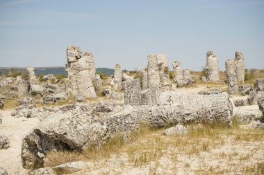 Pobiti Kamani (taş Çölü), Bulgaristan'ın Kuzey Batı Varna il sınırında bulunan bir çöl gibi kaya fenomen