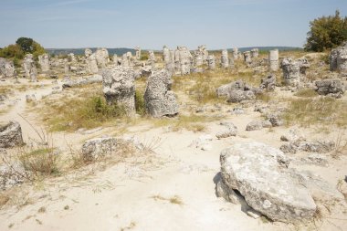 Pobiti Kamani (taş Çölü), Bulgaristan'ın Kuzey Batı Varna il sınırında bulunan bir çöl gibi kaya fenomen