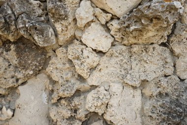 Pobiti Kamani (taş Çölü), Bulgaristan'ın Kuzey Batı Varna il sınırında bulunan bir çöl gibi kaya fenomen