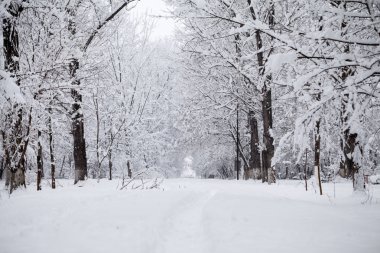 Peyzaj Park kar yağışı