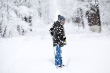 Peyzaj Park kar yağışı