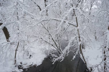 Peyzaj Park kar yağışı