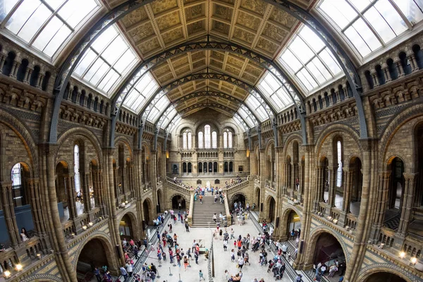 Londres Reino Unido Museo Historia Natural Edificio Detalles — Foto de Stock