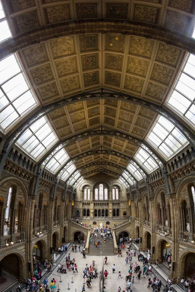 Londres Royaume Uni Musée Histoire Naturelle Bâtiment Détails — Photo