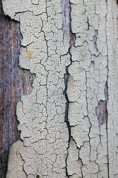 ひび割れた塗料を持つ木製の表面 — ストック写真