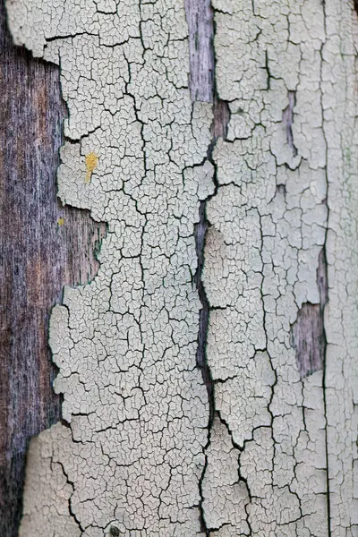 Surface Bois Avec Peinture Fissurée — Photo