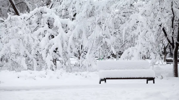 Paisaje Invernal Parque Detalles — Foto de Stock