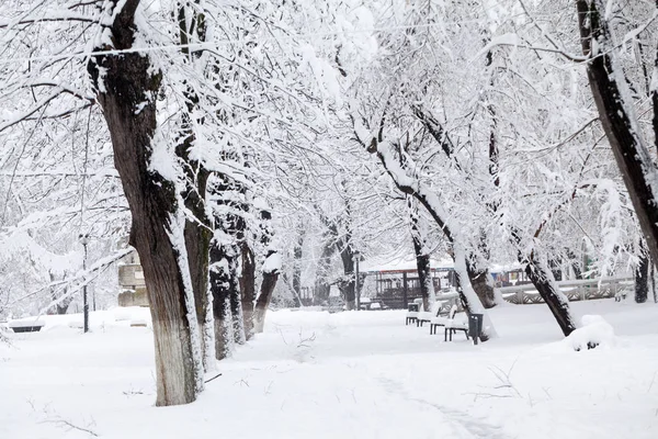 Paisagem Inverno Parque Detalhes — Fotografia de Stock