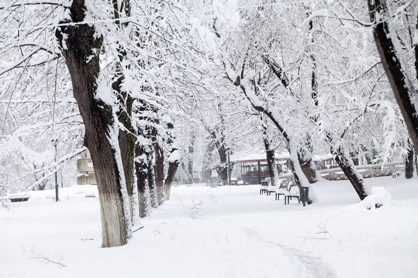 Winter Landscape Park Details — Stock Photo, Image